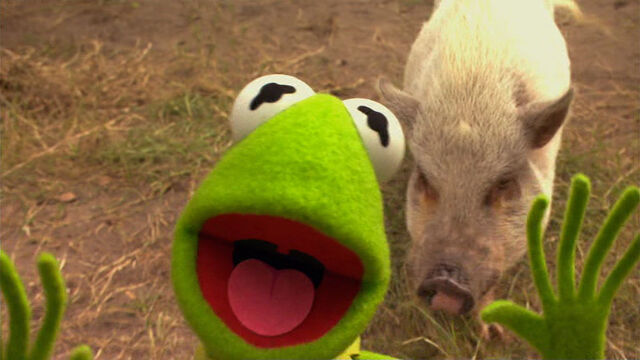 File:KSY-Kermit&Pig.jpg