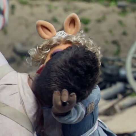 File:Kiss Piggy Topher Grace.jpg