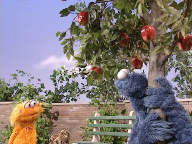 File:ZoeCookie-Guessing.jpg
