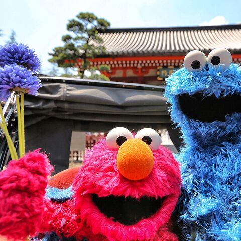 File:Japan elmo cookie mosnter.jpg
