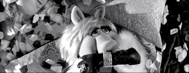 File:Moi video 24.jpg