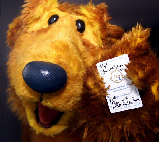 File:Bear-autograph.jpg
