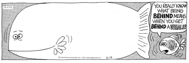 File:1975-06-19.jpg