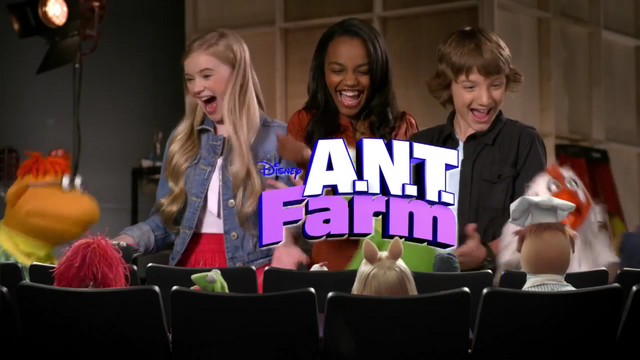 File:Muppets ANT Farm.png