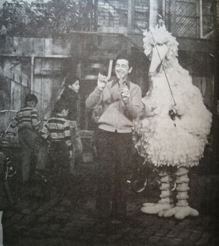 File:BigBirdBob0133.jpg