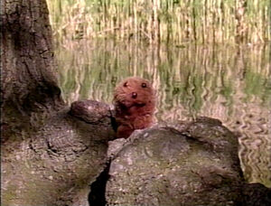 PlayAlong-Groundhog