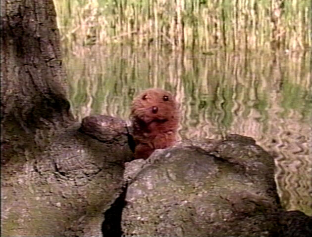 File:PlayAlong-Groundhog.jpg