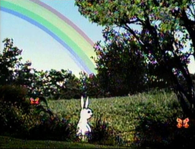 File:RabbitWeather.jpg
