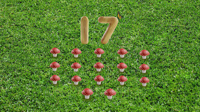 File:17-Mushrooms.png