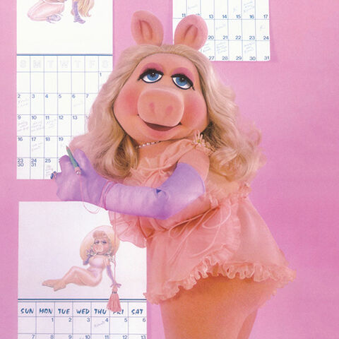 File:Piggysbottom-thumbnail.jpg