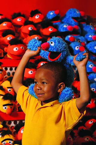 File:Sesame Place Plush 1.jpg