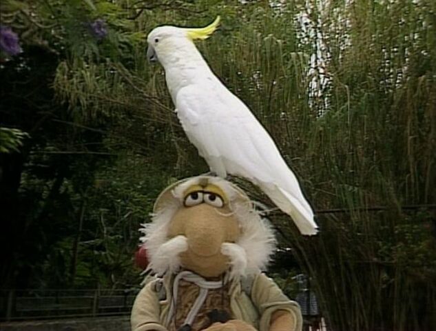 File:Matt hat.jpg
