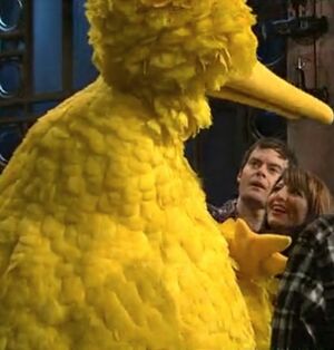 NasimPedradBigBird