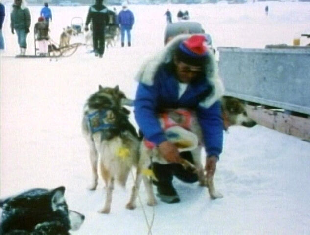 File:AlaskaDogs.jpg