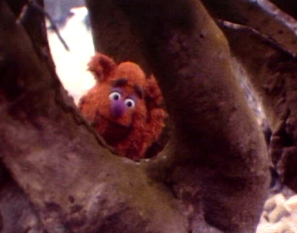 File:Camera test sc5 b.jpg