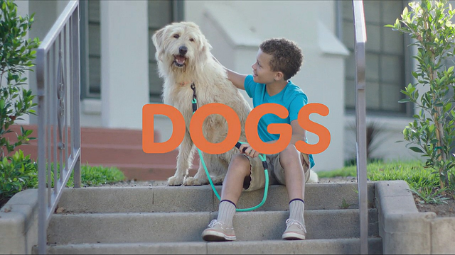 File:4630-Dog.png