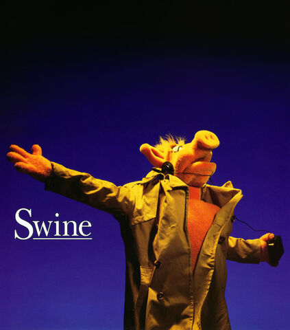 File:Swine-shine.jpg