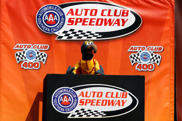 File:Nascar-Gonzo-(2014-03-23)-480203491.jpg