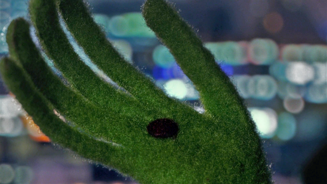 File:MMW mole.png