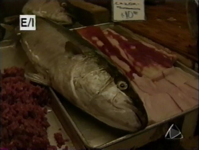 File:FishMarket.jpg