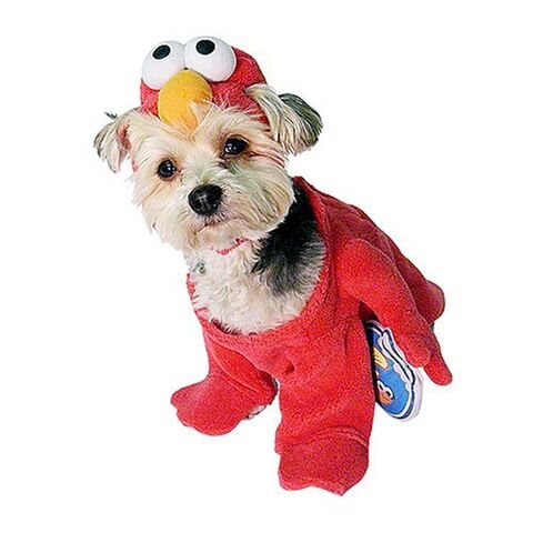 File:NewYorkDog.Elmo.jpg