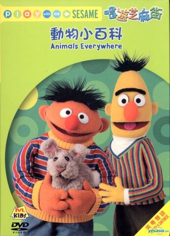 File:Playwithmesesameanimalseverywherehongkongdvd.jpg