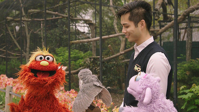 File:Murray-Birds03.png