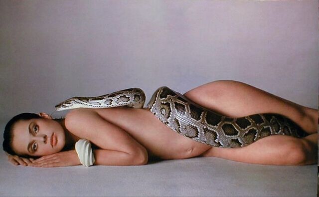 File:Richard-Avedon's-Nastassja-Kinski-and-the-Serpent-1981.jpg