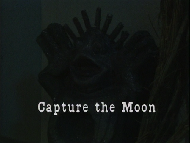 File:CaptureTheMoon.png