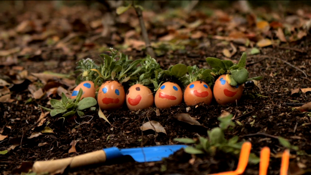 File:4611-Garden.png