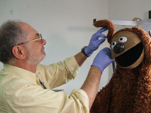 Working on Rowlf