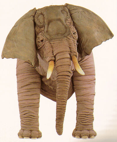 File:Scans0019.jpg