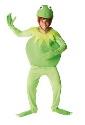 File:889802 Kermit costume.jpg