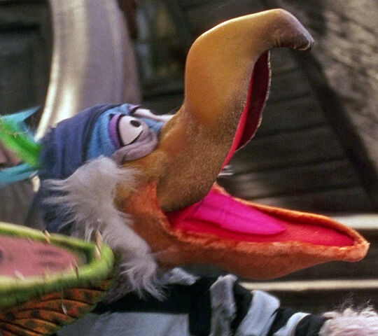 File:Dodo pirate.jpg