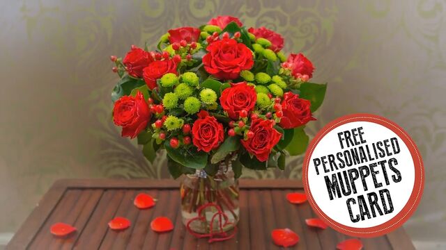 File:Iflorist 4.jpg