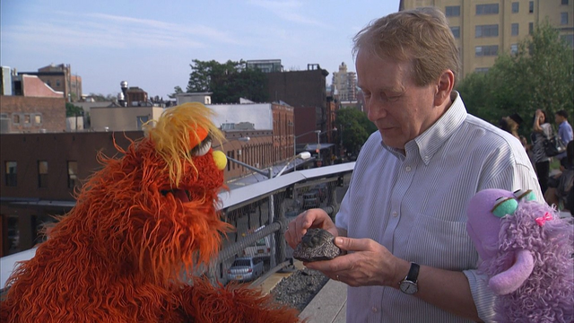 File:MurrayPaleo02.png