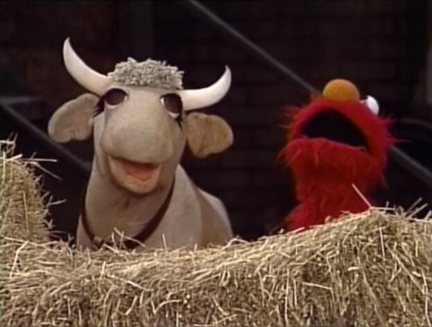 File:ElmoTheCow.jpg