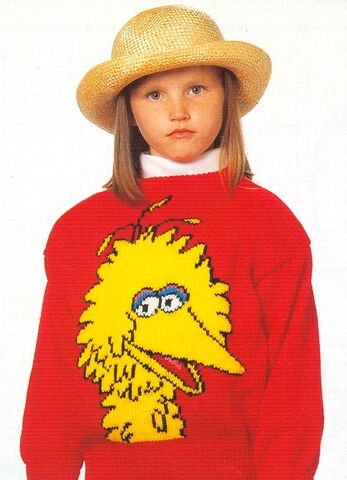 File:Big bird sweater.jpg