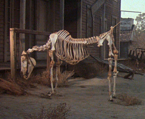File:Ghosthorse.jpg