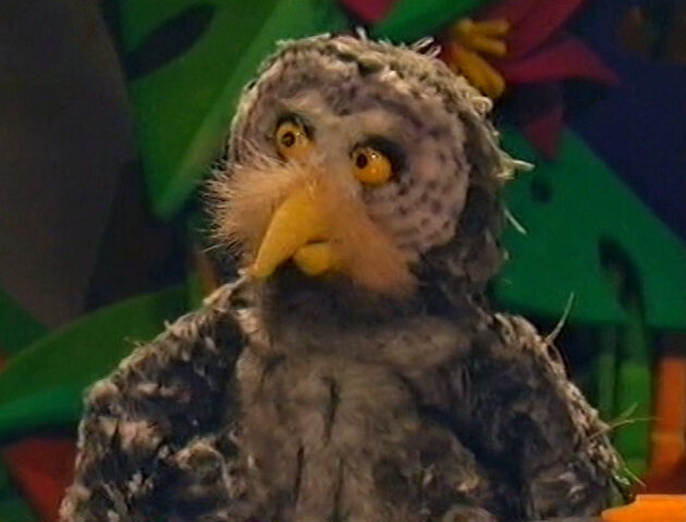 File:Timothy the Owl.jpg