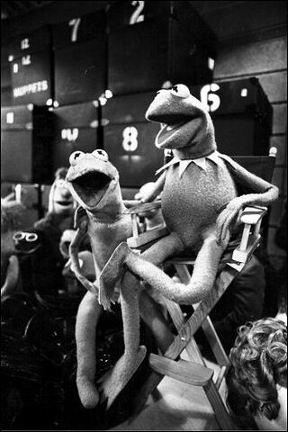File:Kermits.jpg