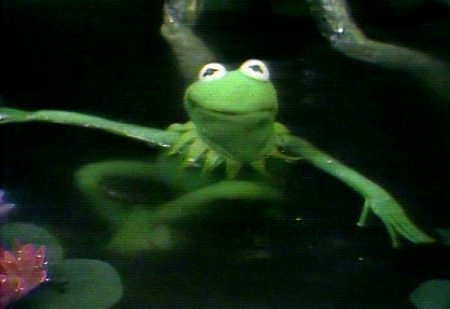 File:KermitSwimmingTFP.png
