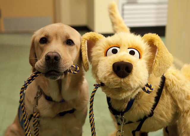File:Episode4307.jpg