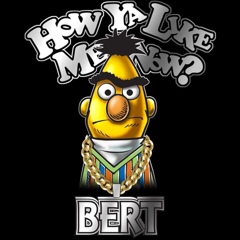 File:Tshirt-bertbling.jpg