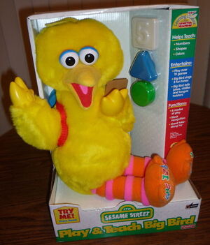 Play and teach big bird