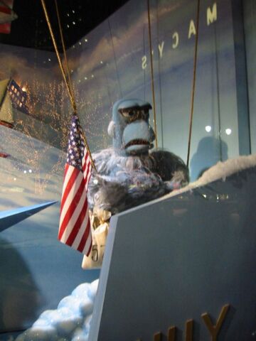 File:SamMacysWindow.jpeg