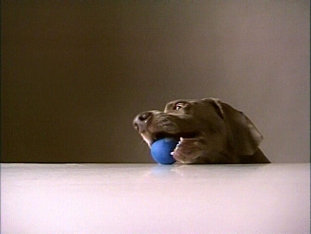 File:Fay.1ball.jpg