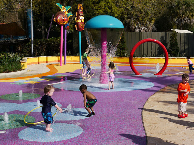 File:Watering spot 3.jpg