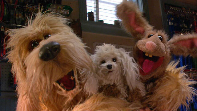 File:KSY-Foo-Foo.jpg