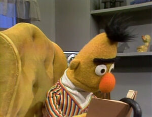 Bert book umbrella